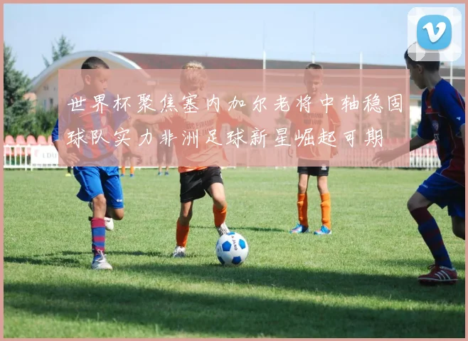 世界杯聚焦塞内加尔老将中轴稳固球队实力非洲足球新星崛起可期